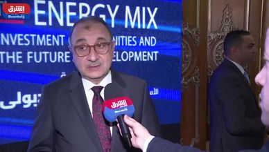 الشيمي: الوزارة تعمل على استدامة إيرادات الشركات