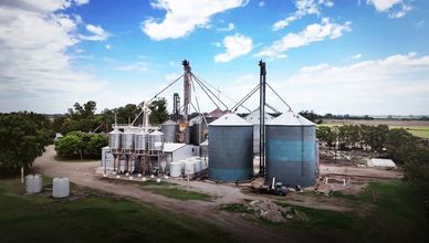 الأرجنتين.. صادرات اللحوم والحبوب تسجل أعلى مستوياتها