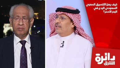 كيف يعزز التنسيق المصري السعودي الردع في البحر الأحمر؟