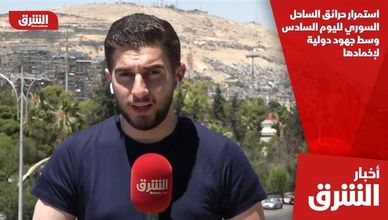 استمرار حرائق الساحل السوري لليوم السادس وسط جهود دولية لإخمادها