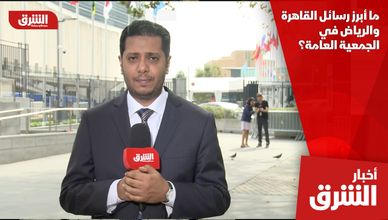 ما أبرز رسائل القاهرة والرياض في الجمعية العامة؟