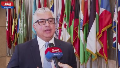 وليد جمال الدين لـ"الشرق": قفزة استثمارية في المنطقة الاقتصادية لقناة السويس