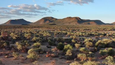 مشاعر الحيوانات