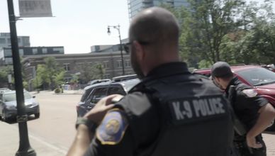 مطاردات غراند رابيدز