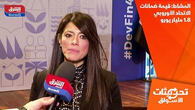 المشاط: قيمة ضمانات الاتحاد الأوروبي 1.8 مليار يورو
