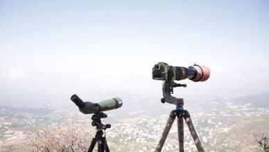 عين تحرس الجبل