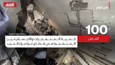 الأزمة البيئية في غزة.. من الدمار إلى الكوارث الصحية