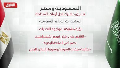 السعودية ومصر.. تنسيق مشترك لحل أزمات المنطقة
