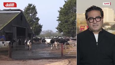 هل يؤدي إغلاق مضيق هرمز إلى أزمة غذاء عالمية؟