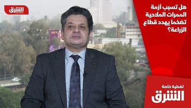 هل تسبب أزمة الممرات الملاحية تضخما يهدد قطاع الزراعة؟