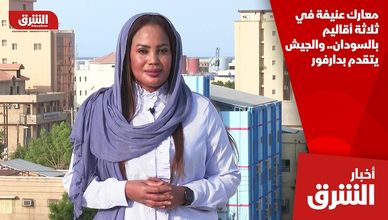 معارك عنيفة في ثلاثة أقاليم بالسودان.. والجيش يتقدم بدارفور