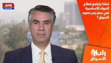 لماذا يتراجع قطاع المواد الأساسية في مصر رغم صعود السوق؟