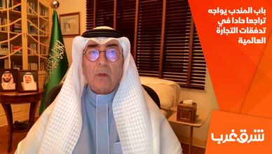 باب المندب يواجه تراجعا حادا في تدفقات التجارة العالمية
