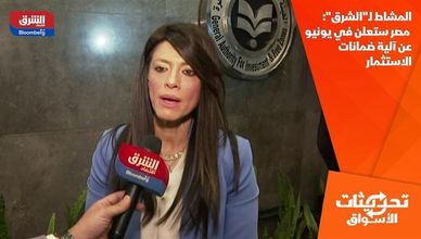 المشاط لـ"الشرق": مصر ستعلن في يونيو عن آلية ضمانات الاستثمار