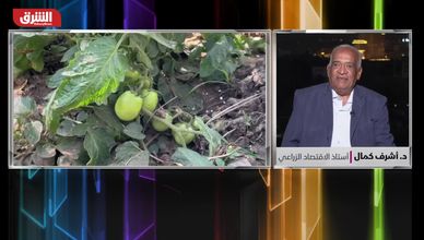 ارتفاع كلفة الأسمدة.. تهديد مباشر للأمن الغذائي العالمي