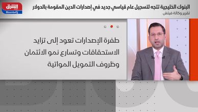 فيتش: البنوك الخليجية تتجه لعام قياسي جديد بإصدارات الدين المقومة بالدولار