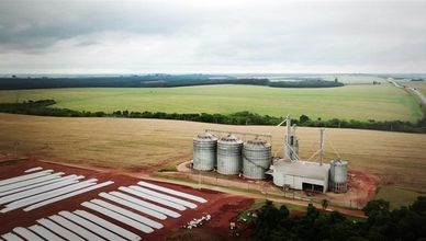 فول الصويا يضع البرازيل في صدارة الزراعة العالمية