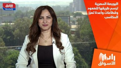 البورصة المصرية ترسم طريقها للصعود وقطاعات واعدة تعزز المكاسب