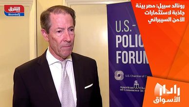رونالد سبيل: مصر بيئة جاذبة لاستثمارات الأمن السيبراني