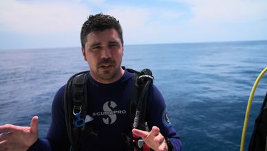 رحلة هجرة غامضة ومسار غير مألوف