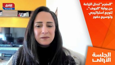 "المنجم" تدخل الزراعة من بوابة "الجوف".. تنويع استراتيجي وتوسيع حضور