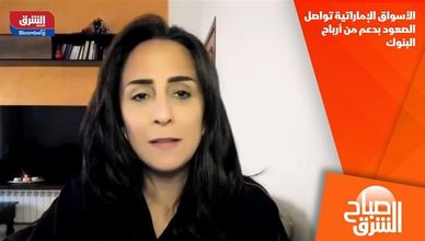 الأسواق الإماراتية تواصل الصعود بدعم من أرباح البنوك