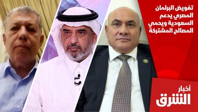 تفويض البرلمان المصري يدعم السعودية ويحمي المصالح المشتركة