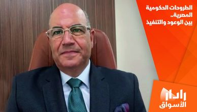 الطروحات الحكومية المصرية.. بين الوعود والتنفيذ