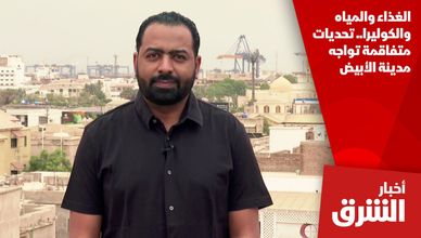 الغذاء والمياه والكوليرا.. تحديات متفاقمة تواجه مدينة الأبيض