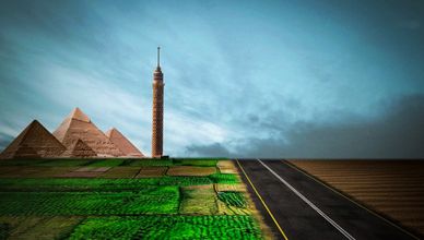 كيف غير استصلاح الأراضي خريطة الزراعة المصرية؟