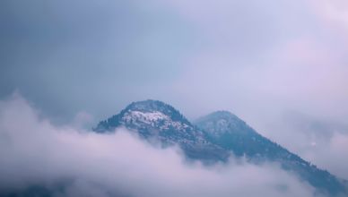 أنتاركتيكا.. صراع البقاء