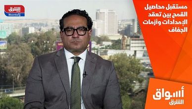 مستقبل محاصيل القمح بين تعقد الإمدادات وأزمات الجفاف