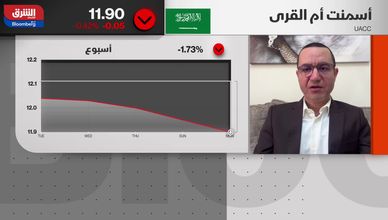 طفرة إسمنت اليمامة و"أم القرى".. مبيعات قياسية تعزز صعود "تاسي"