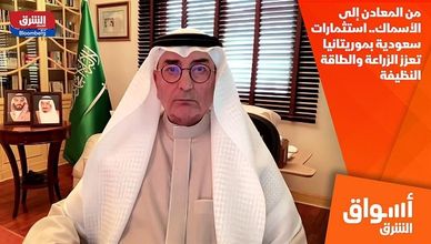 من المعادن إلى الأسماك.. استثمارات سعودية بموريتانيا تعزز الزراعة والطاقة النظيفة