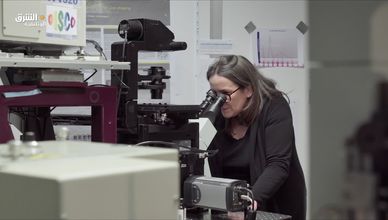 أقنعة نيكولاس روسي