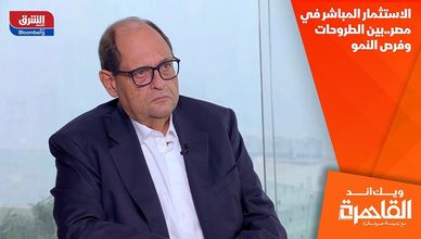 الاستثمار المباشر في مصر.. بين الطروحات وفرص النمو