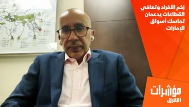 زخم الأفراد وتعافي القطاعات يدعمان تماسك أسواق الإمارات