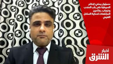 مسؤول يمني: إحكام السيطرة على باب المندب وذوباب.. وتأمين المرتفعات لحماية الساحل الغربي