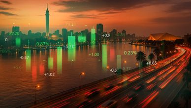 بين الاقتصاد والثقافة.. مصر تفتح أبواب التنمية والمعرفة