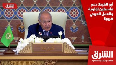 أبو الغيط: دعم فلسطين أولوية والعمل العربي ضرورة