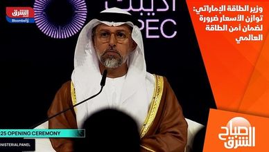 وزير الطاقة الإماراتي: توازن الأسعار ضرورة لضمان أمن الطاقة العالمي