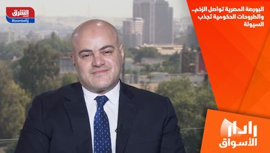 البورصة المصرية تواصل الزخم.. والطروحات الحكومية تجذب السيولة