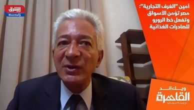 أمين "الغرف التجارية": مصر تؤمن الأسواق وتفعل خط الرورو للصادرات الغذائية