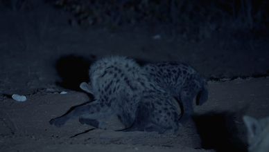 الطبيعة تستعيد أنفاسها