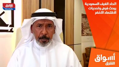 اتحاد الغرف السعودية يبحث فرص وتحديات الاقتصاد الأخضر