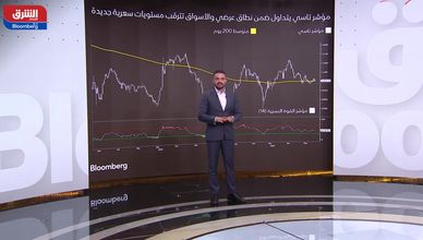 "سايبر" يقيد الصعود.. و"تاسي" ينتظر إشارة الانطلاق