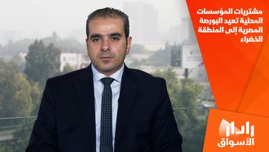 مشتريات المؤسسات المحلية تعيد البورصة المصرية إلى المنطقة الخضراء