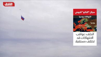 مجال "الناتو" الجوي.. انتهاكات روسيا