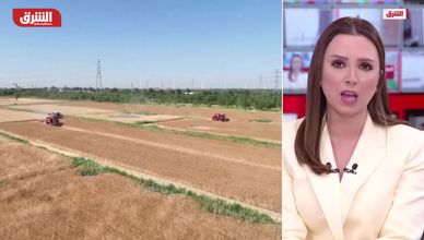 شبح الجوع يهدد الملايين.. تداعيات إغلاق مضيق هرمز عالمياً