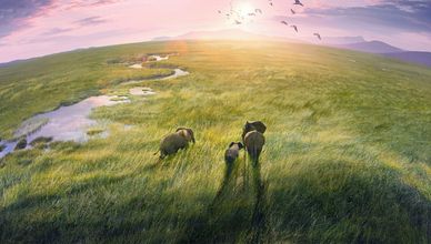 كوكب الأرض - Planet Earth III
